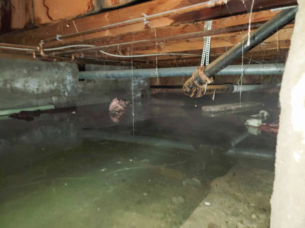 Best 24-hour water damage restoration  in Pearl, MS