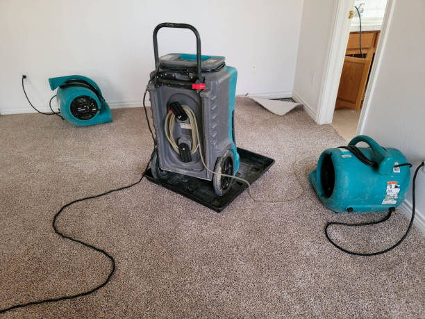 Best Ceiling water damage repair  in Pearl, MS