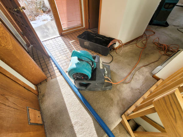 Best Flooded house restoration  in Pearl, MS