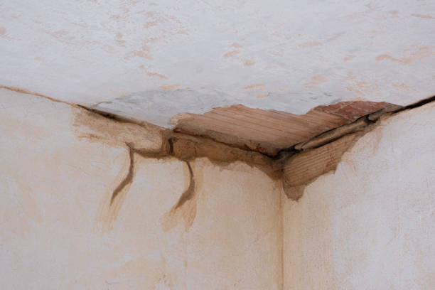 Best Commercial water damage restoration  in Pearl, MS