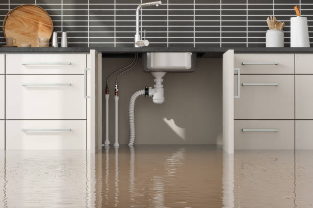 Best Water damage contractors near me  in Pearl, MS