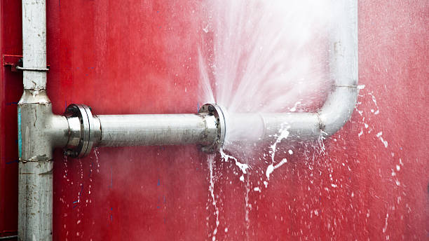Best Local water damage restoration  in Pearl, MS